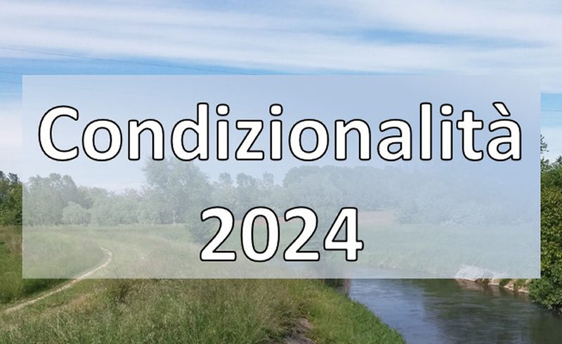 Condizionalita 2024